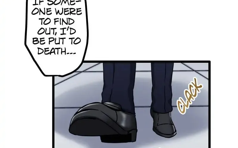 Nullitas ~The Counterfeit Bride~ Chapter 5 page 35 - 