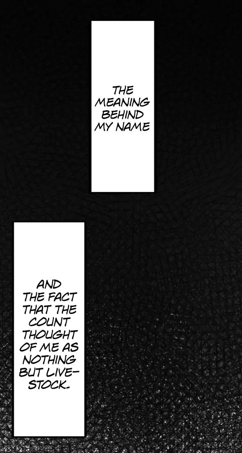 Nullitas ~The Counterfeit Bride~ Chapter 5 page 75 - 