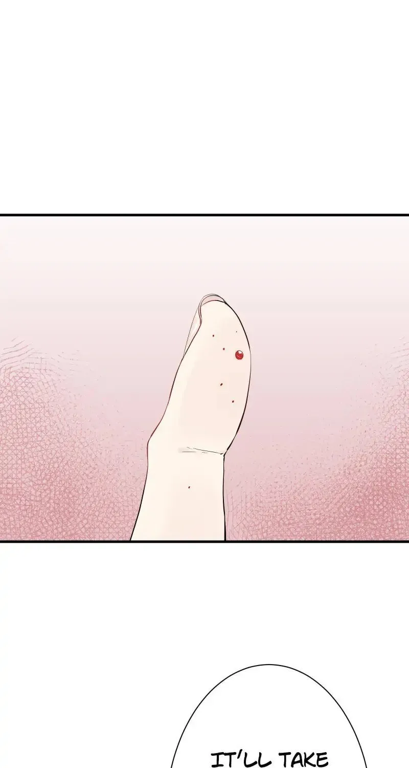 Nullitas ~The Counterfeit Bride~ Chapter 51 page 31 - 