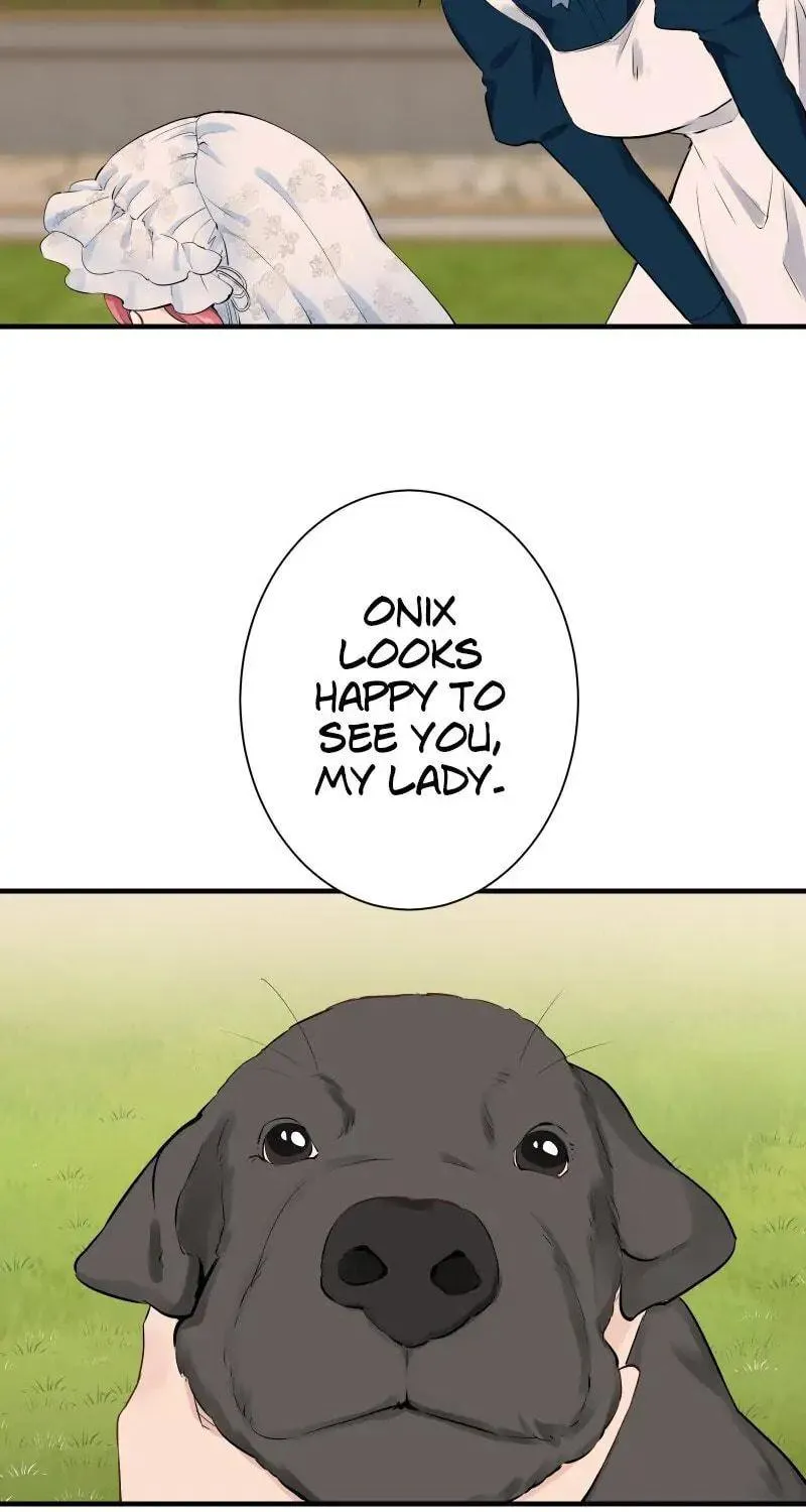 Nullitas ~The Counterfeit Bride~ Chapter 52 page 48 - 