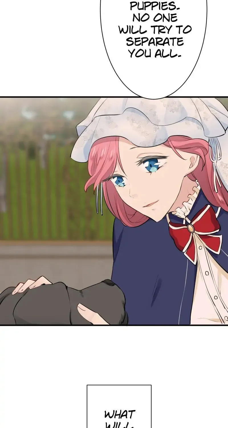 Nullitas ~The Counterfeit Bride~ Chapter 52 page 61 - 