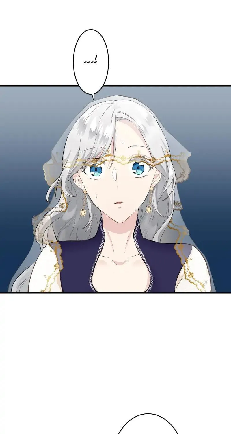Nullitas ~The Counterfeit Bride~ Chapter 58 page 37 - 