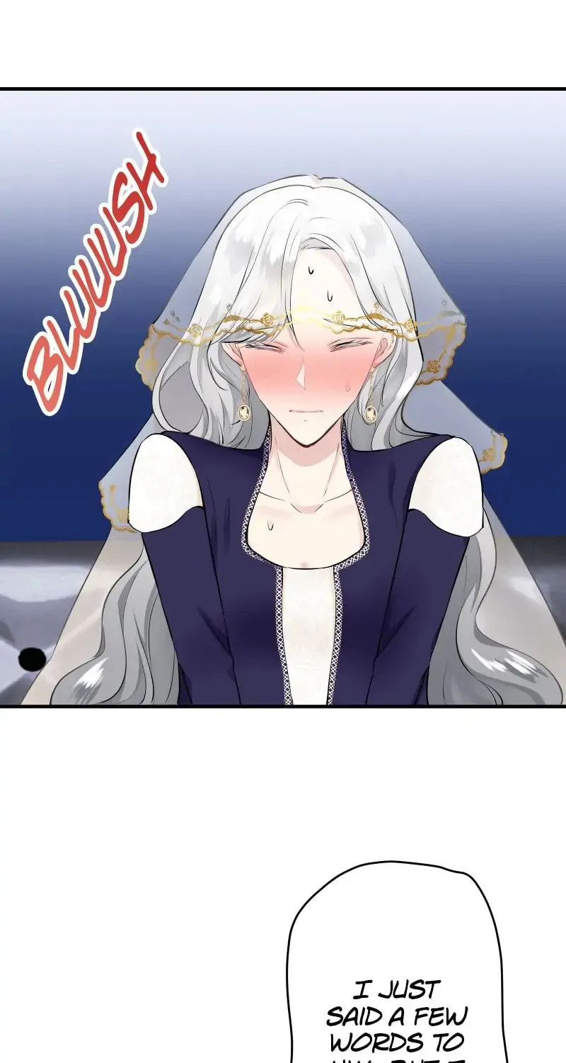 Nullitas ~The Counterfeit Bride~ Chapter 58 page 46 - 