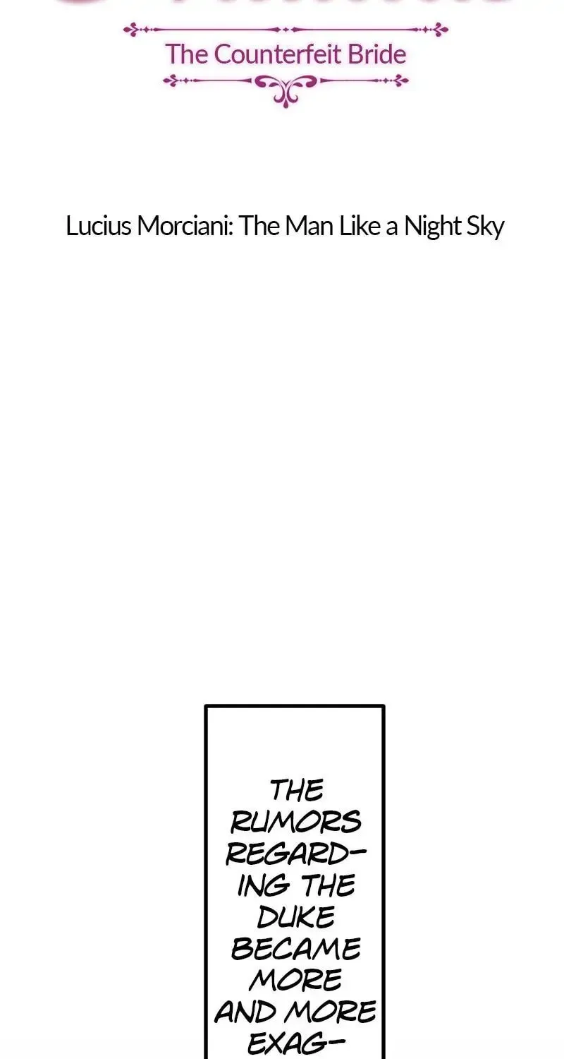 Nullitas ~The Counterfeit Bride~ Chapter 6 page 14 - 