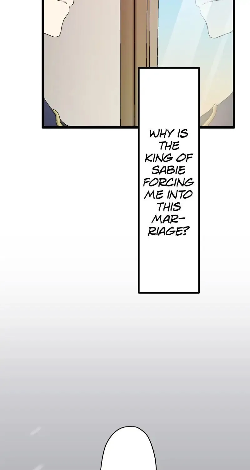 Nullitas ~The Counterfeit Bride~ Chapter 6 page 47 - 