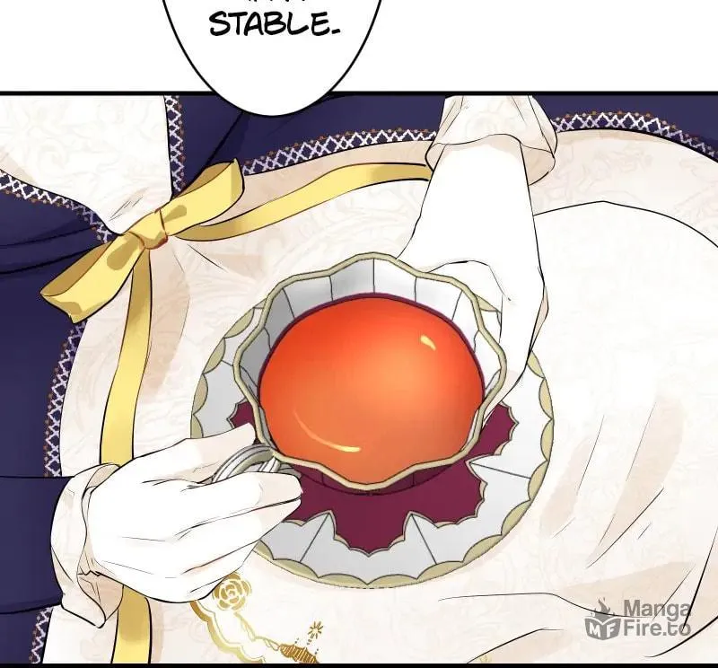 Nullitas ~The Counterfeit Bride~ Chapter 60 page 27 - 
