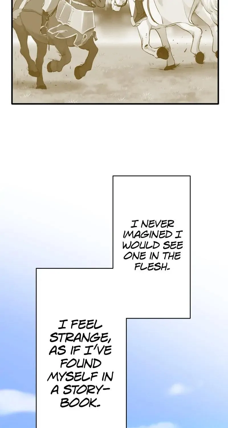 Nullitas ~The Counterfeit Bride~ Chapter 60 page 48 - 