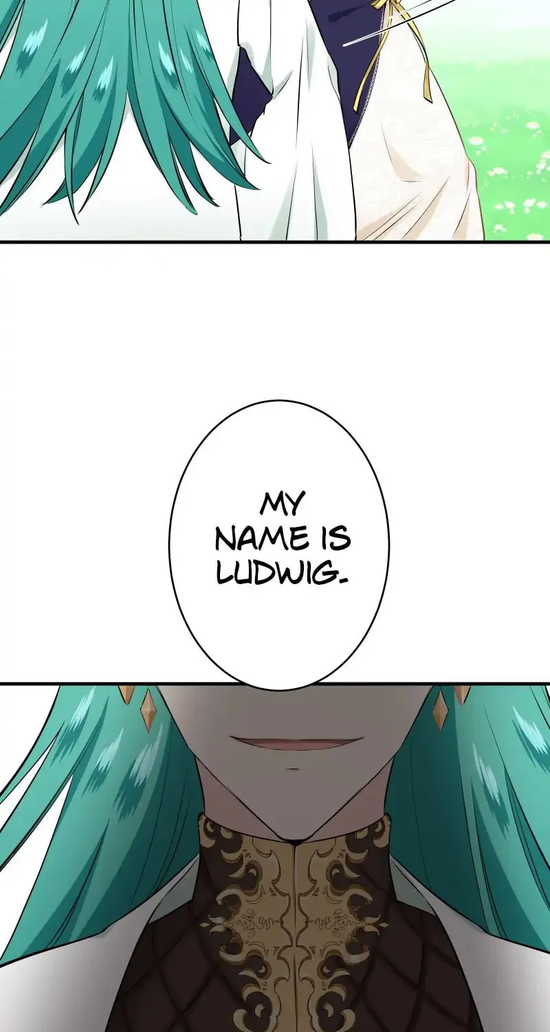 Nullitas ~The Counterfeit Bride~ Chapter 61 page 14 - 