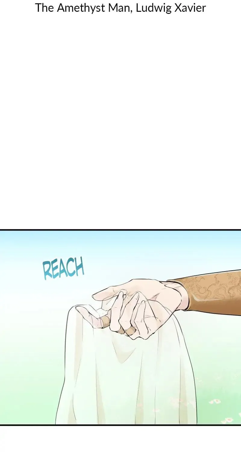 Nullitas ~The Counterfeit Bride~ Chapter 61 page 5 - 
