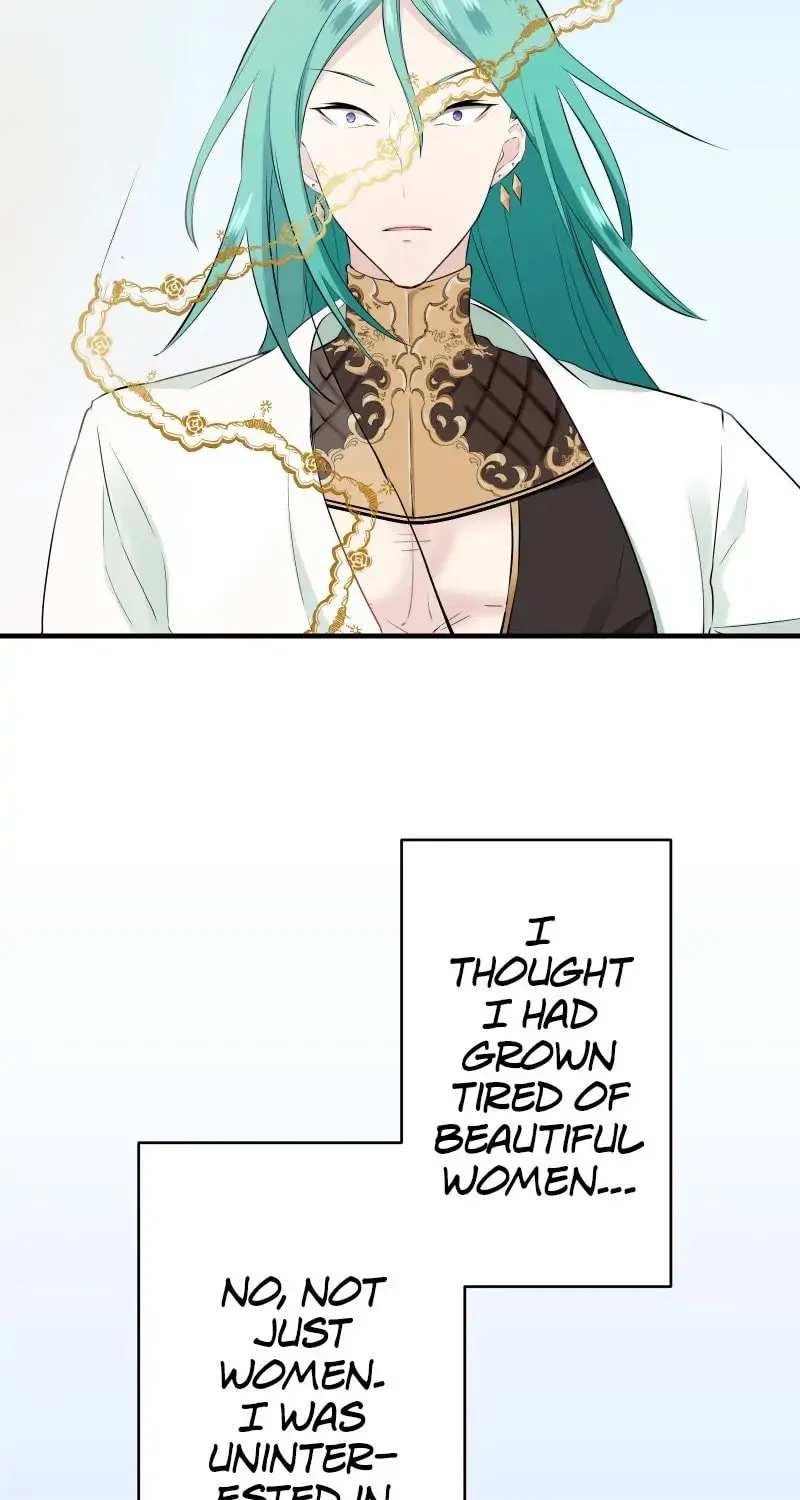 Nullitas ~The Counterfeit Bride~ Chapter 61 page 41 - 