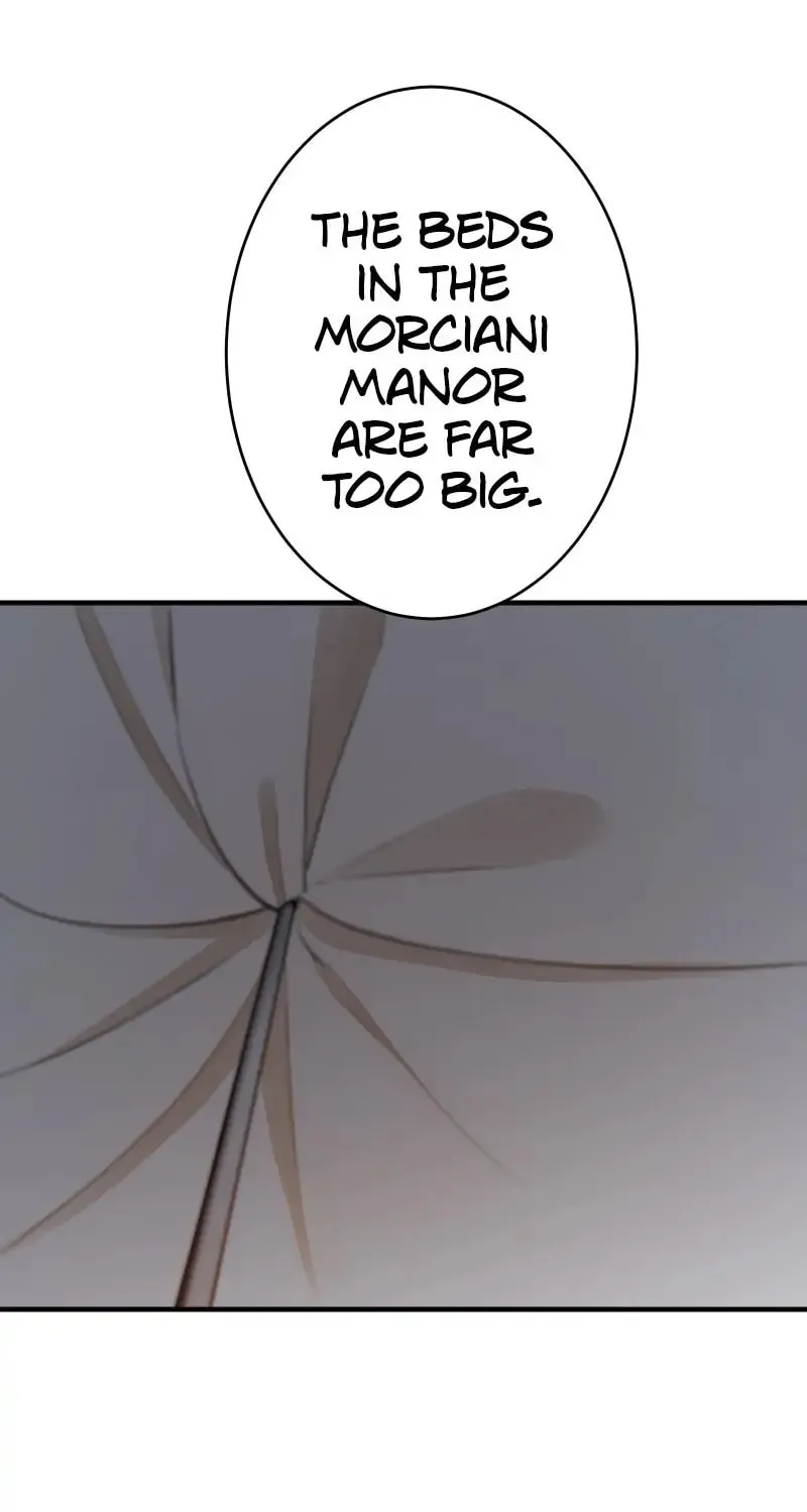 Nullitas ~The Counterfeit Bride~ Chapter 63 page 28 - 