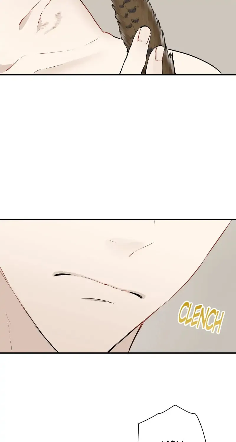 Nullitas ~The Counterfeit Bride~ Chapter 64 page 41 - 
