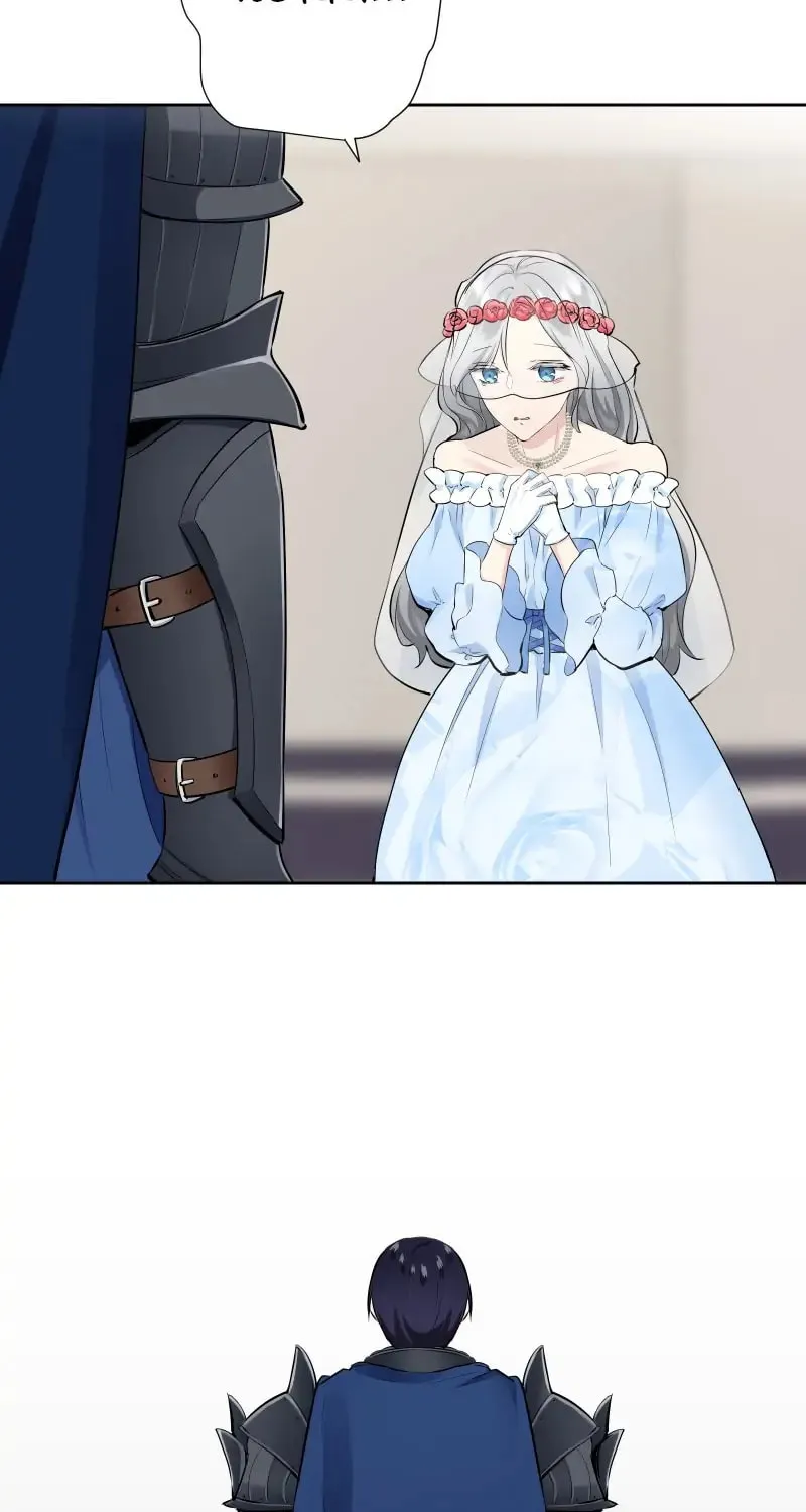 Nullitas ~The Counterfeit Bride~ Chapter 65 page 29 - 