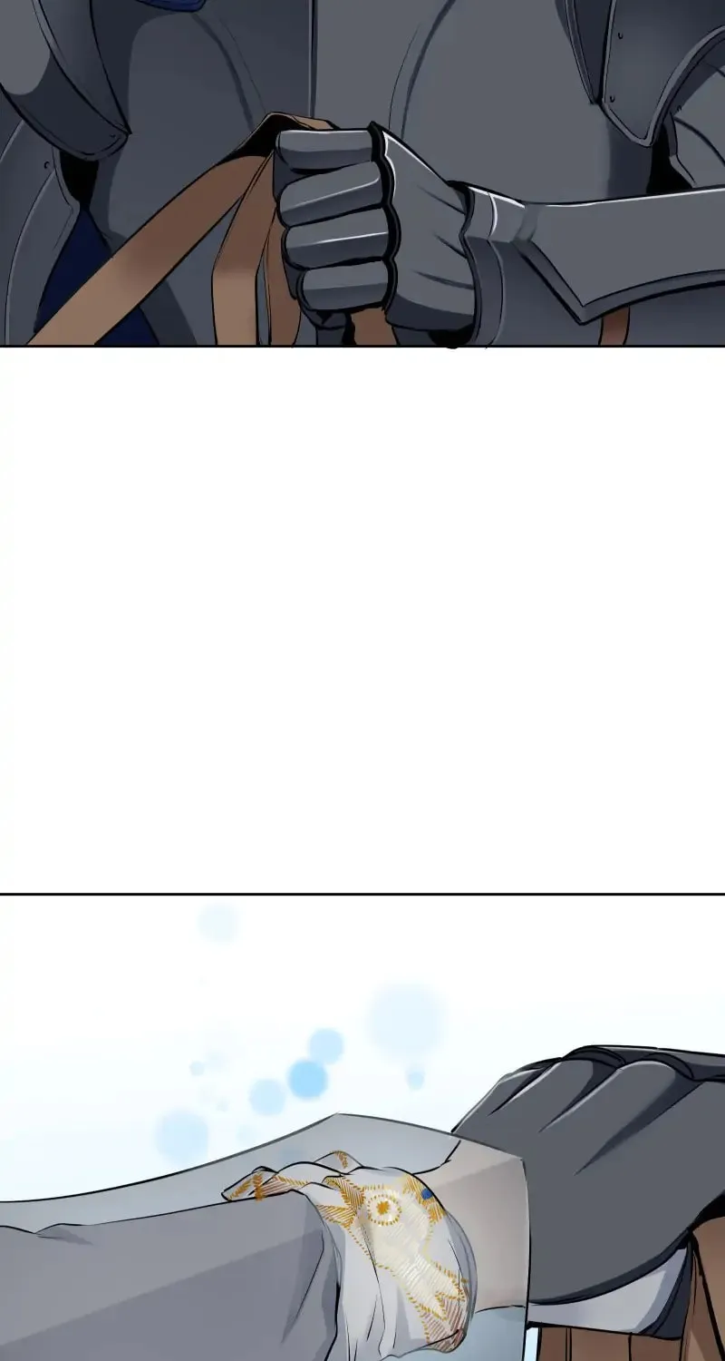Nullitas ~The Counterfeit Bride~ Chapter 66 page 30 - 