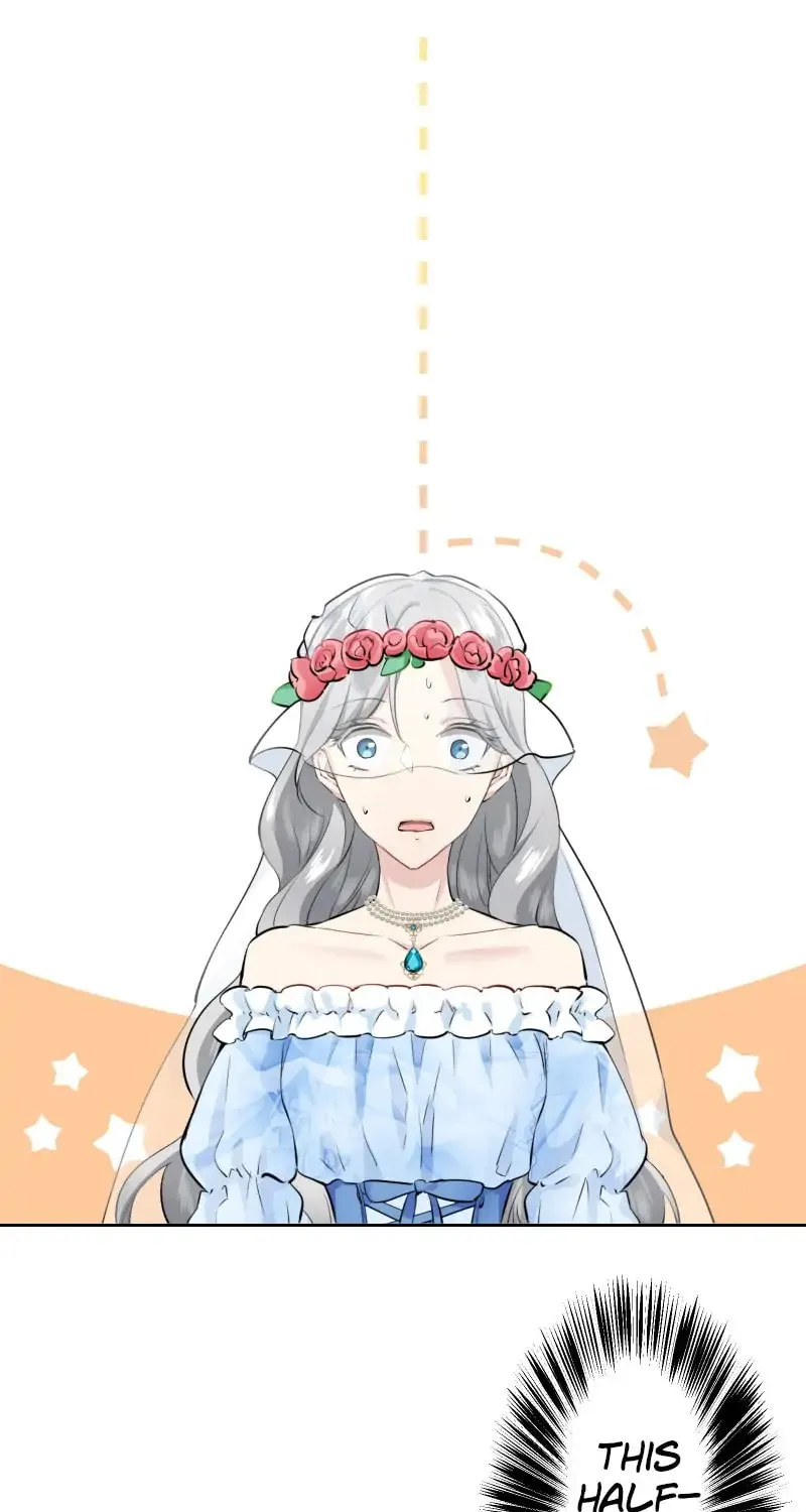 Nullitas ~The Counterfeit Bride~ Chapter 66 page 7 - 
