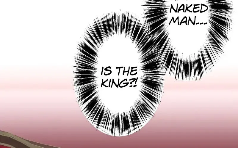 Nullitas ~The Counterfeit Bride~ Chapter 66 page 8 - 