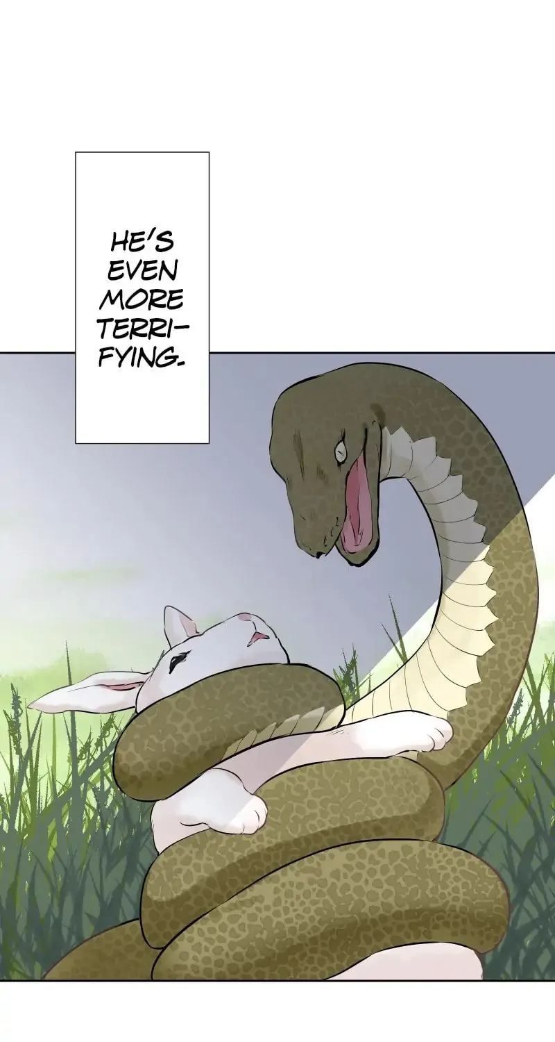 Nullitas ~The Counterfeit Bride~ Chapter 66 page 82 - 