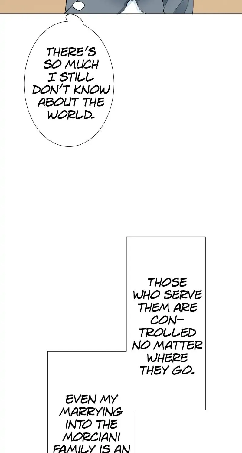 Nullitas ~The Counterfeit Bride~ Chapter 70 page 32 - 
