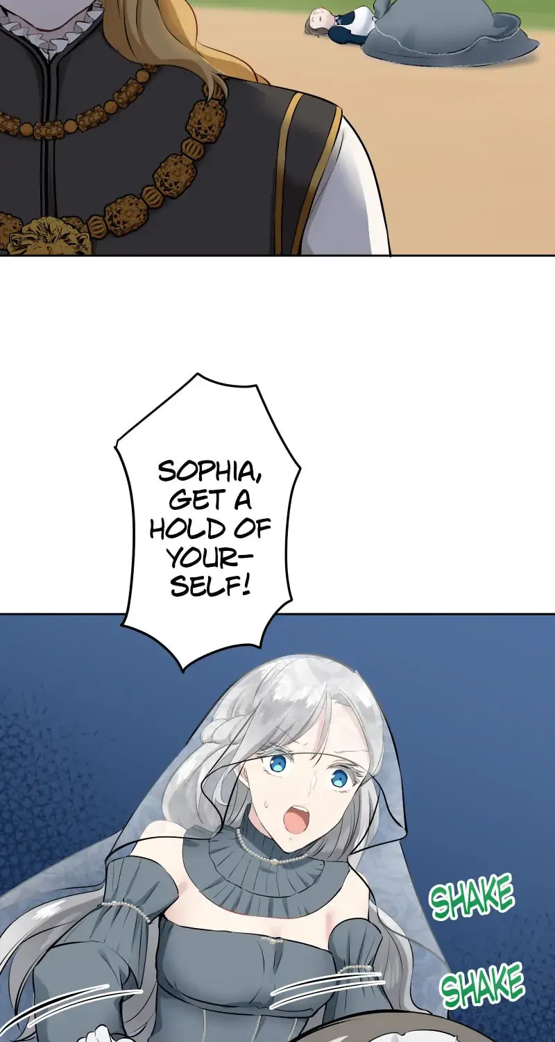 Nullitas ~The Counterfeit Bride~ Chapter 70 page 45 - 