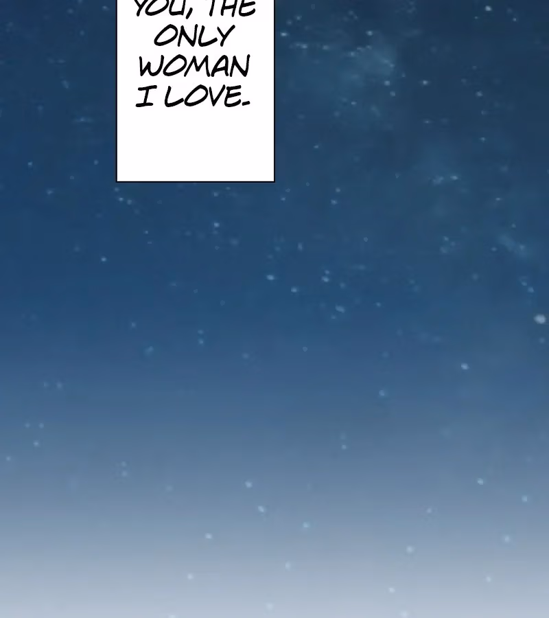 Nullitas ~The Counterfeit Bride~ Chapter 72.5 page 7 - 