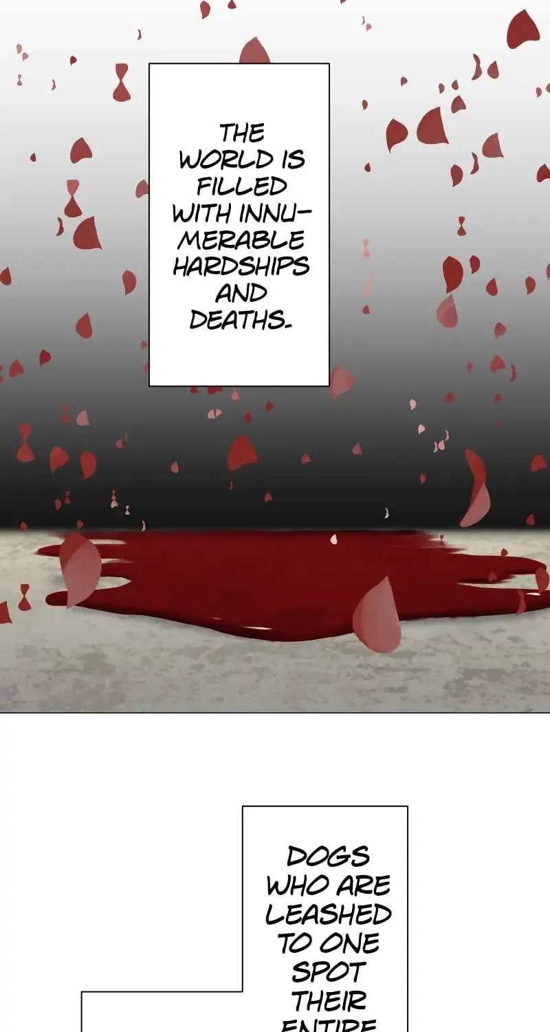 Nullitas ~The Counterfeit Bride~ Chapter 73 page 39 - 