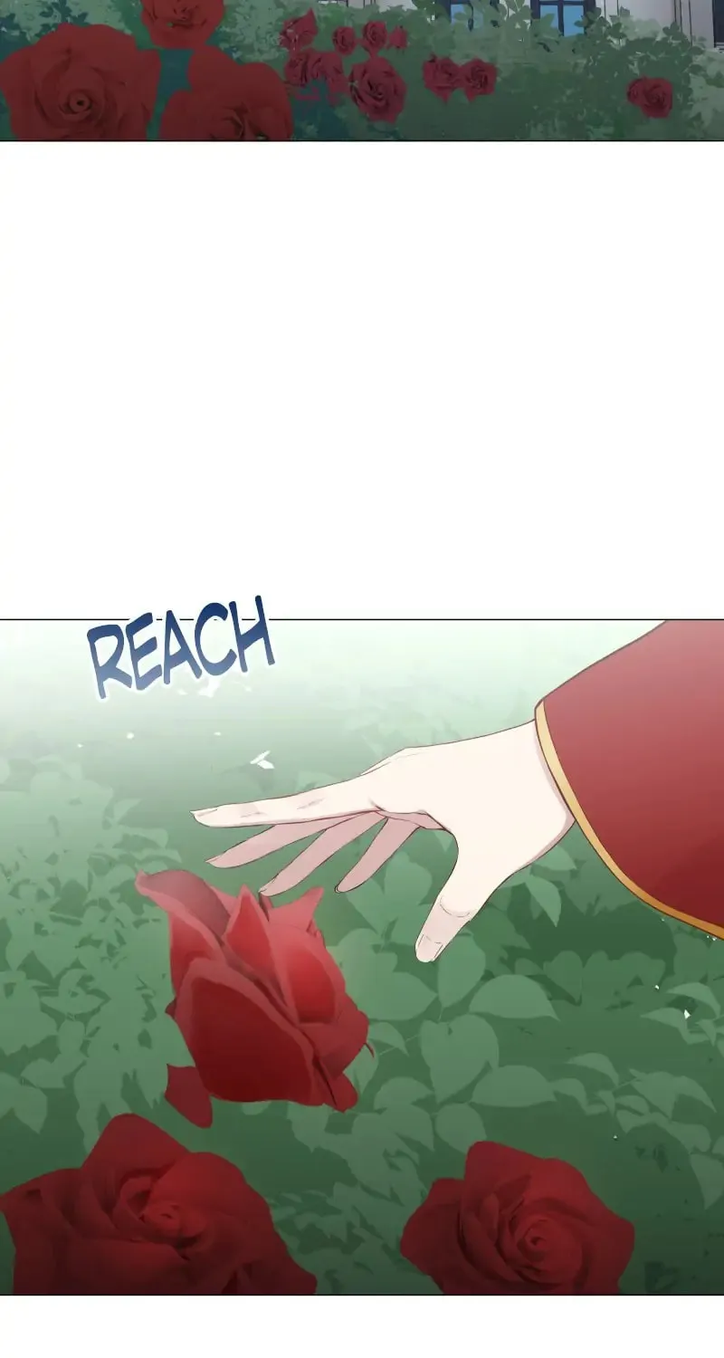 Nullitas ~The Counterfeit Bride~ Chapter 76 page 3 - 