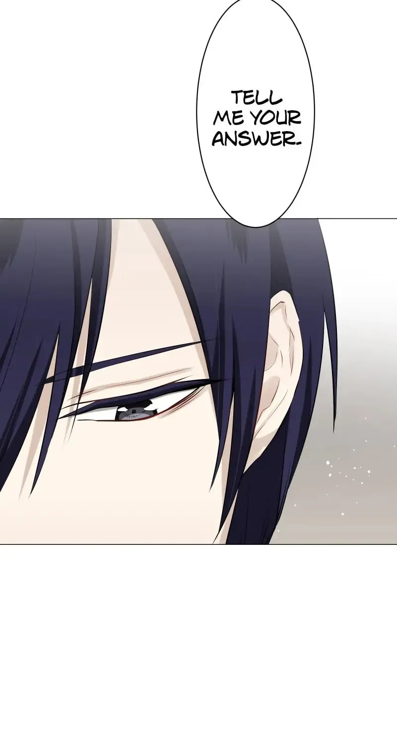 Nullitas ~The Counterfeit Bride~ Chapter 77 page 84 - 