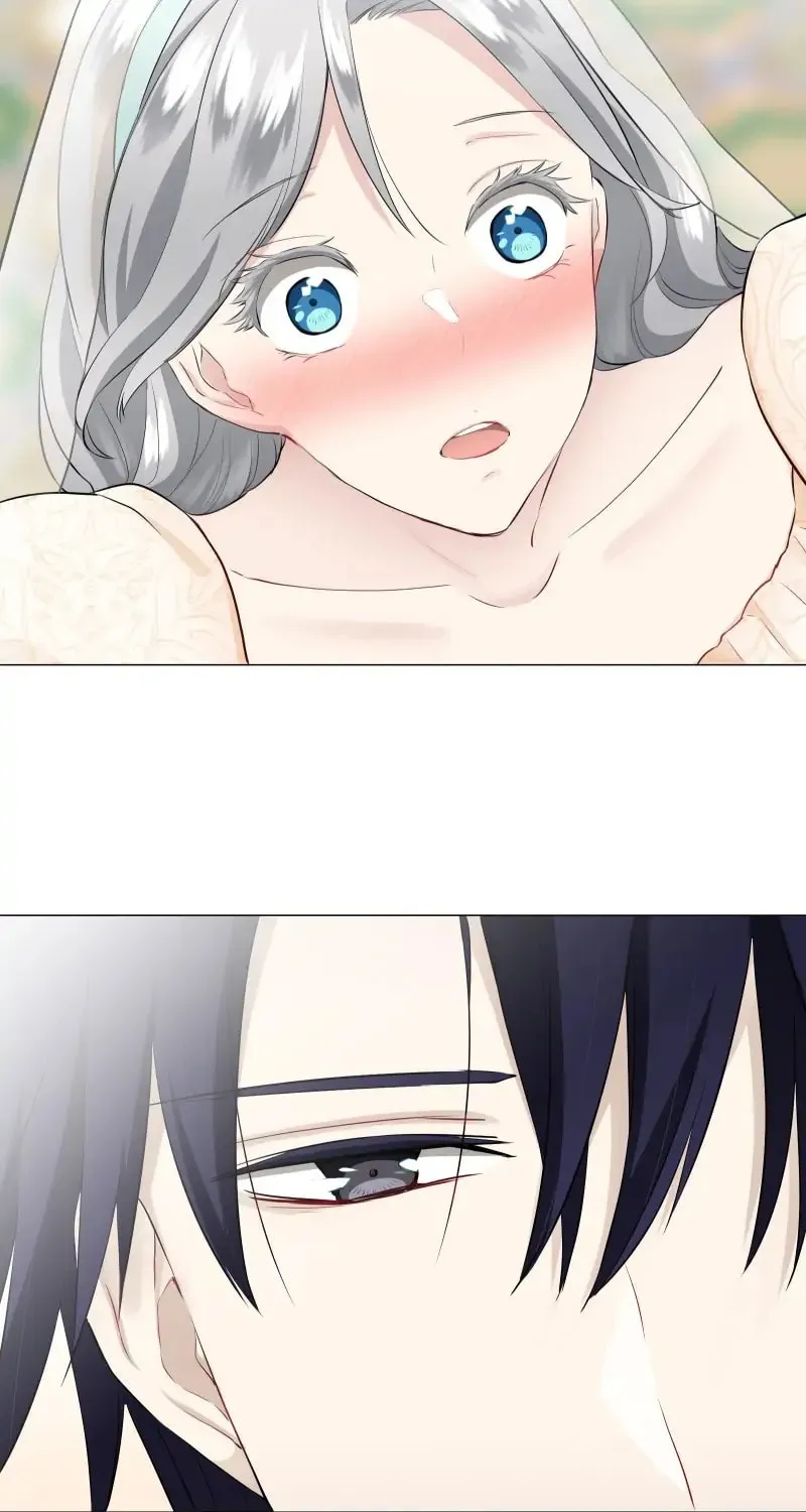 Nullitas ~The Counterfeit Bride~ Chapter 79 page 30 - 