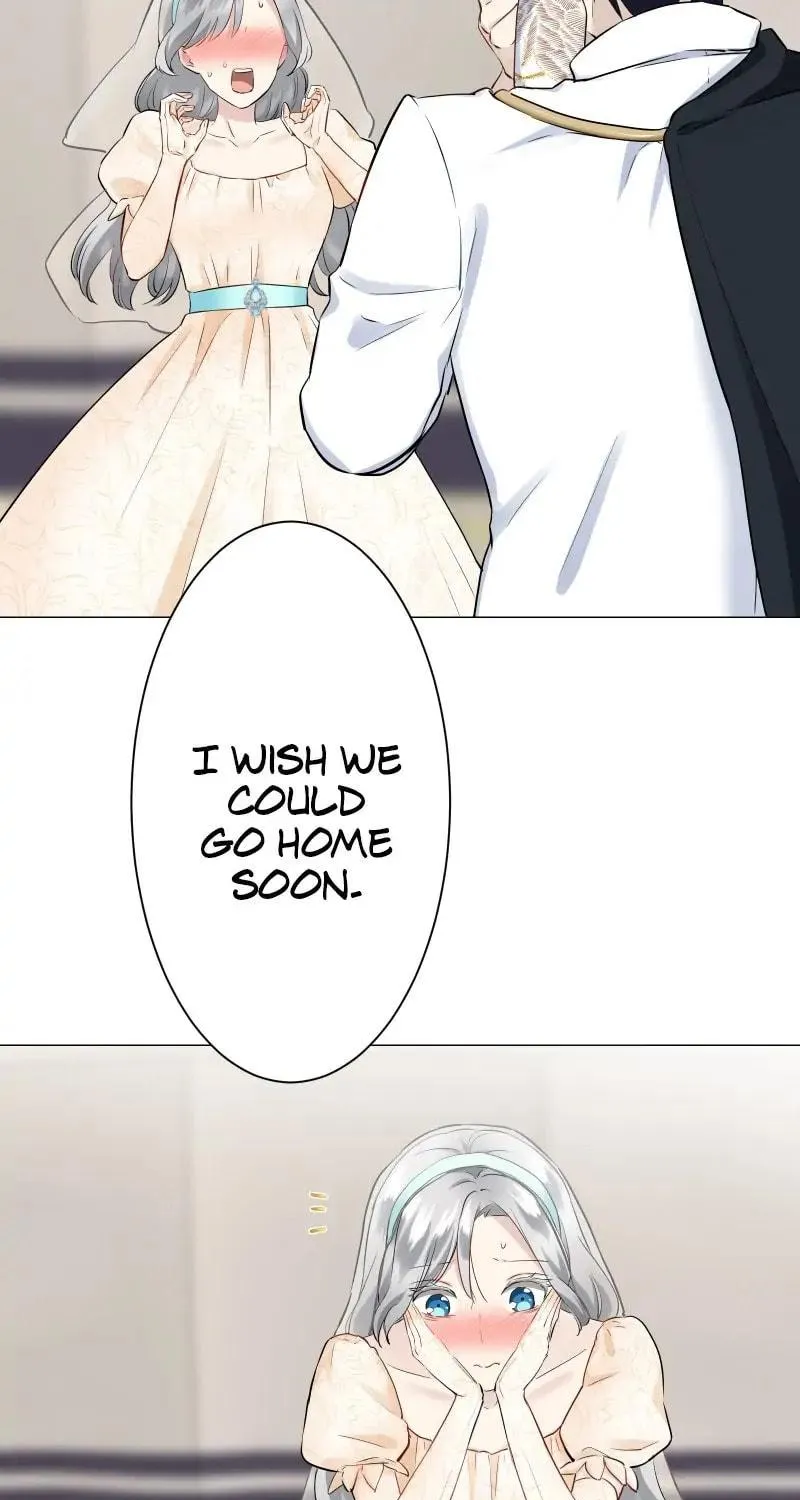 Nullitas ~The Counterfeit Bride~ Chapter 79 page 66 - 