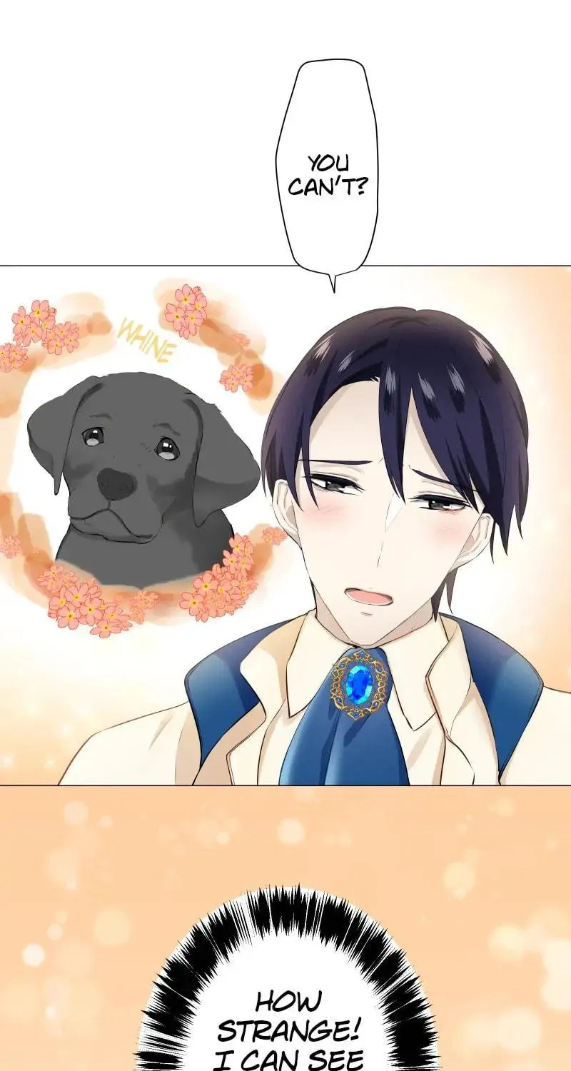 Nullitas ~The Counterfeit Bride~ Chapter 82 page 37 - 