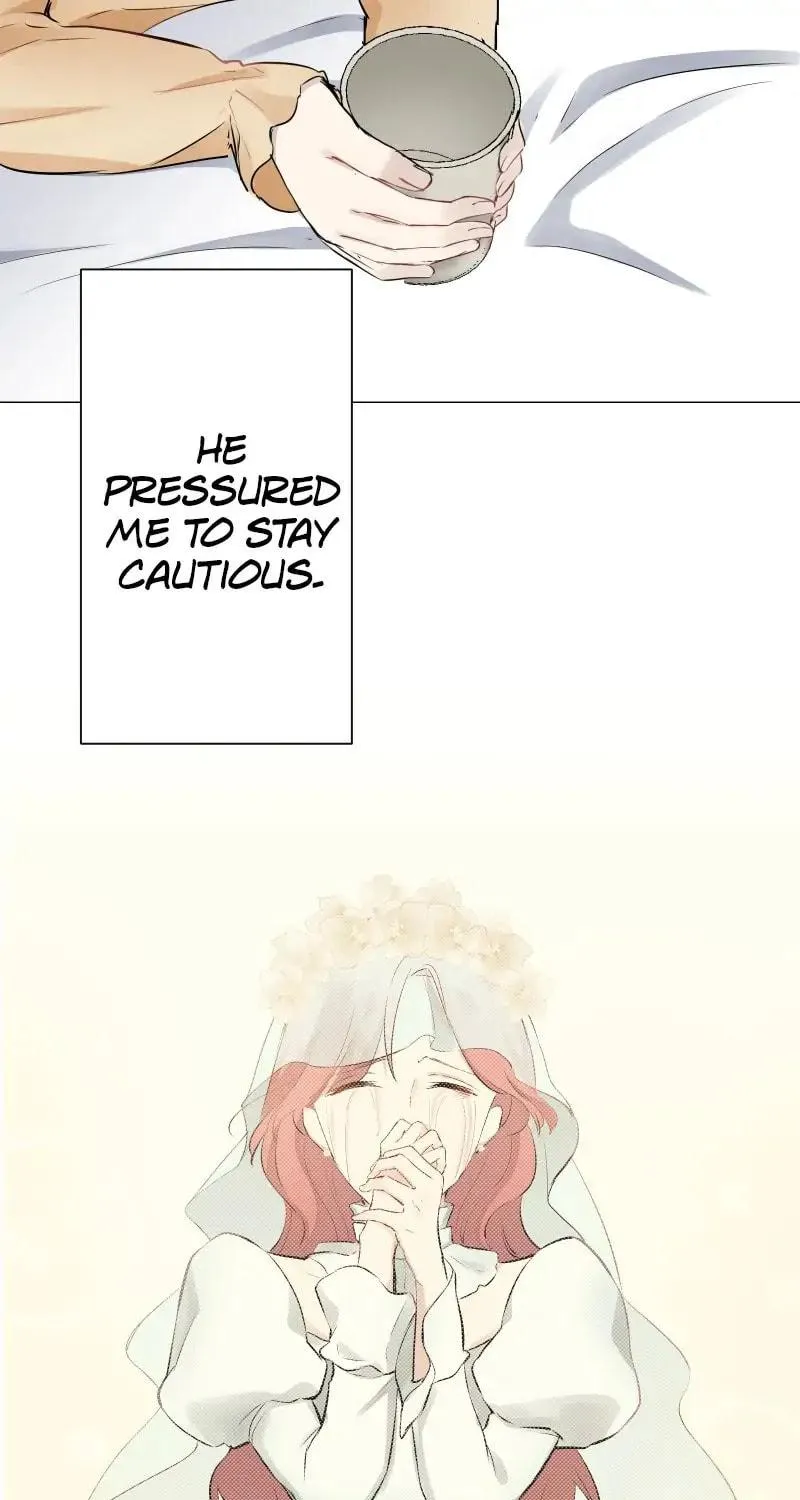 Nullitas ~The Counterfeit Bride~ Chapter 82 page 71 - 