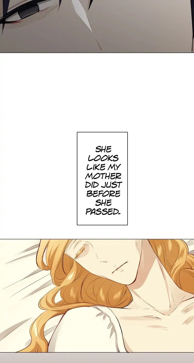 Nullitas ~The Counterfeit Bride~ Chapter 84 page 30 - 
