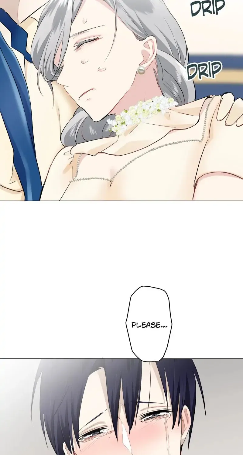 Nullitas ~The Counterfeit Bride~ Chapter 84 page 39 - 