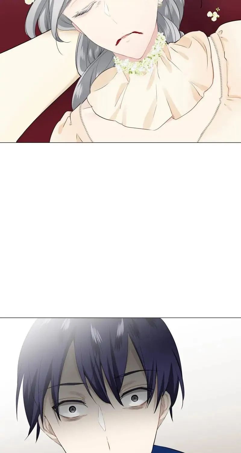 Nullitas ~The Counterfeit Bride~ Chapter 84 page 5 - 