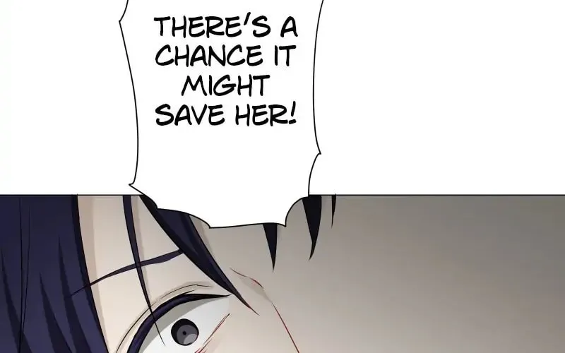 Nullitas ~The Counterfeit Bride~ Chapter 84 page 67 - 
