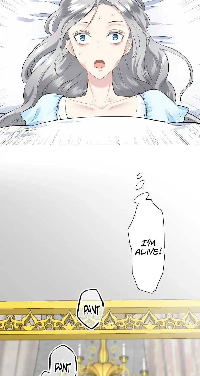 Nullitas ~The Counterfeit Bride~ Chapter 87 page 12 - 