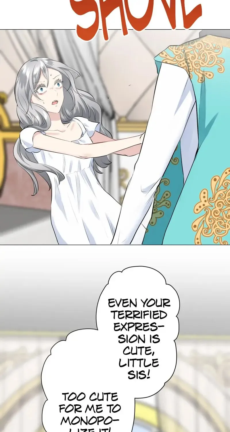 Nullitas ~The Counterfeit Bride~ Chapter 88 page 29 - 