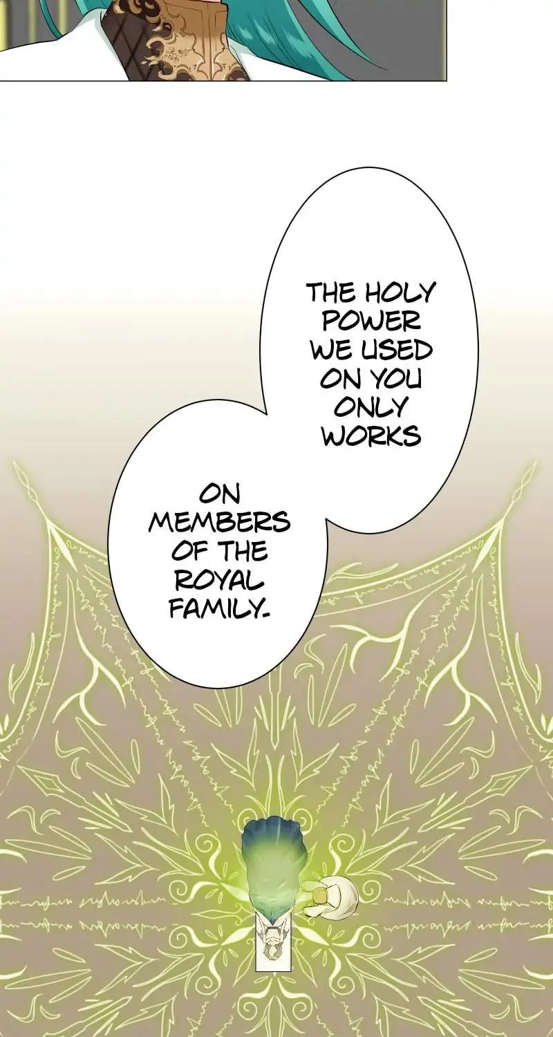 Nullitas ~The Counterfeit Bride~ Chapter 90 page 88 - 