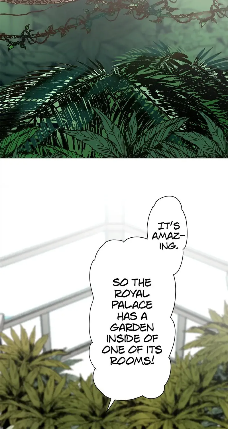 Nullitas ~The Counterfeit Bride~ Chapter 92 page 12 - 
