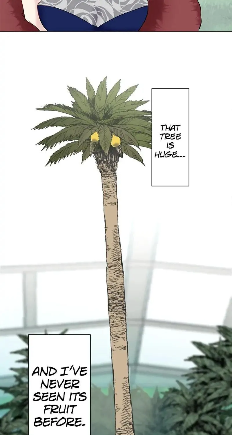Nullitas ~The Counterfeit Bride~ Chapter 92 page 21 - 