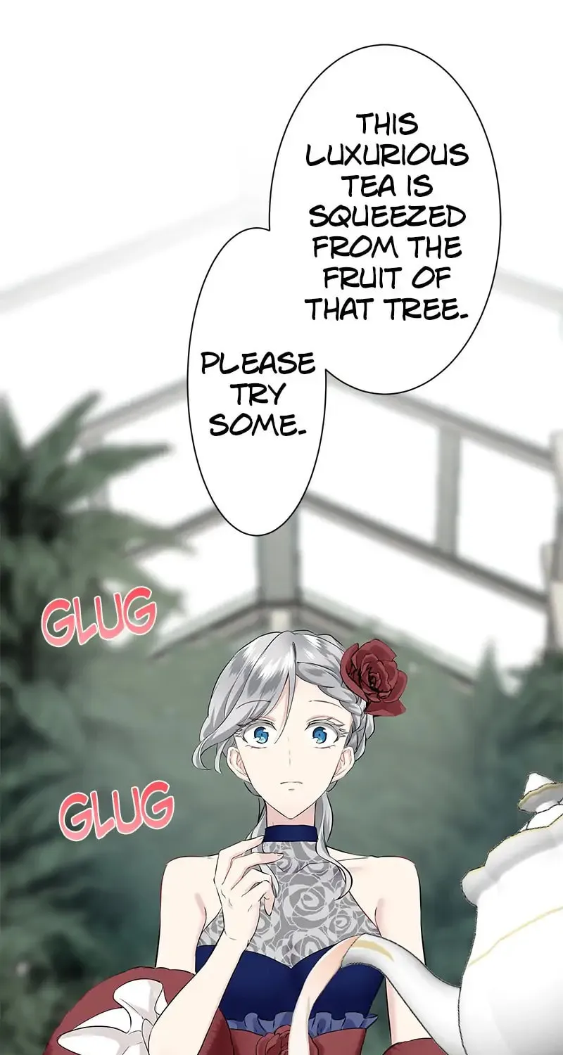 Nullitas ~The Counterfeit Bride~ Chapter 92 page 28 - 