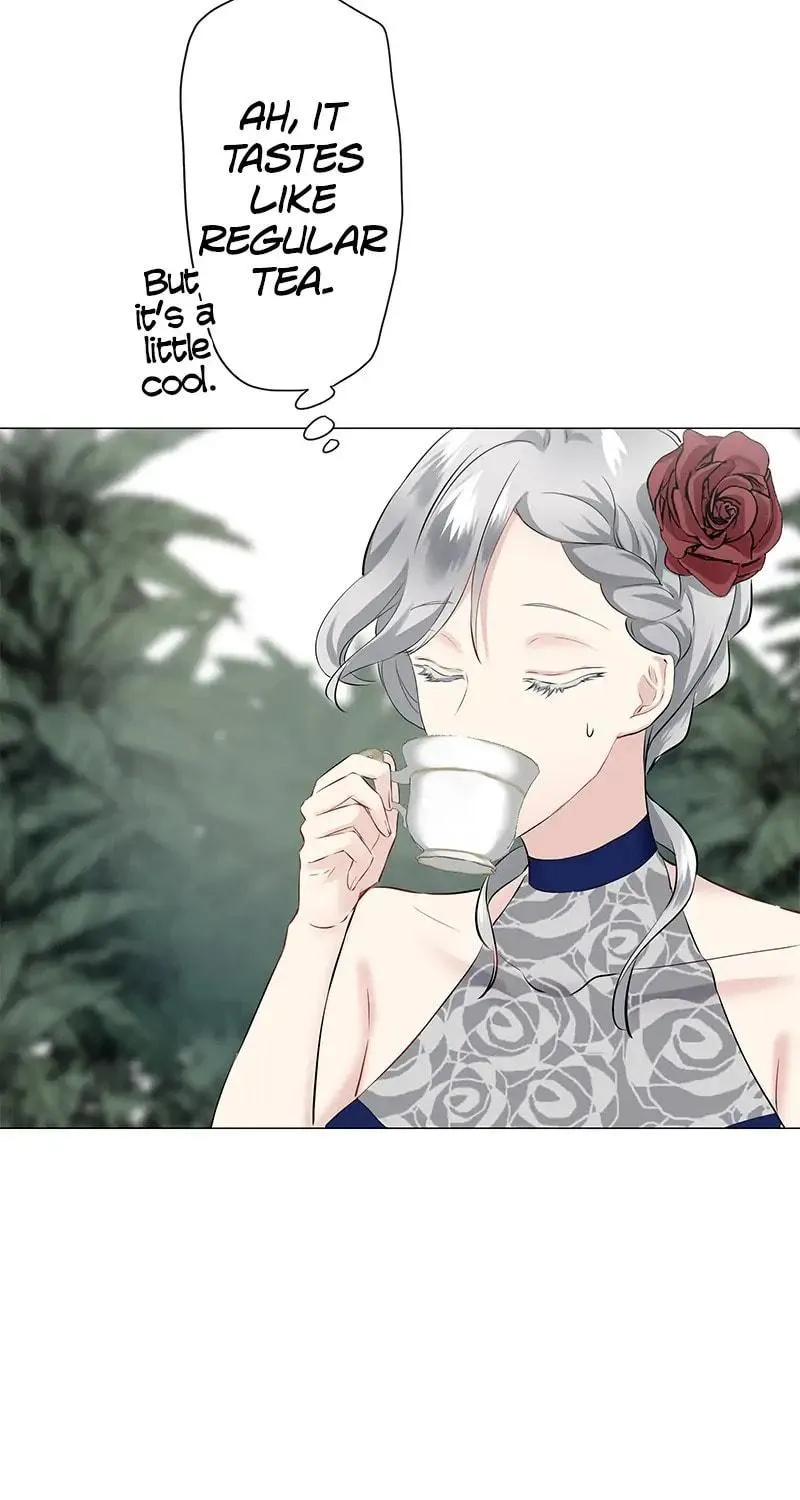 Nullitas ~The Counterfeit Bride~ Chapter 92 page 32 - 