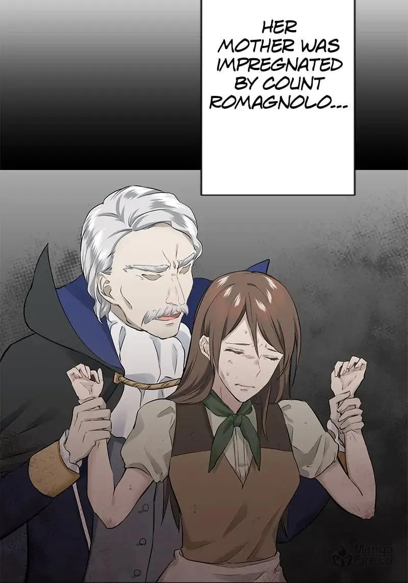 Nullitas ~The Counterfeit Bride~ Chapter 92 page 45 - 