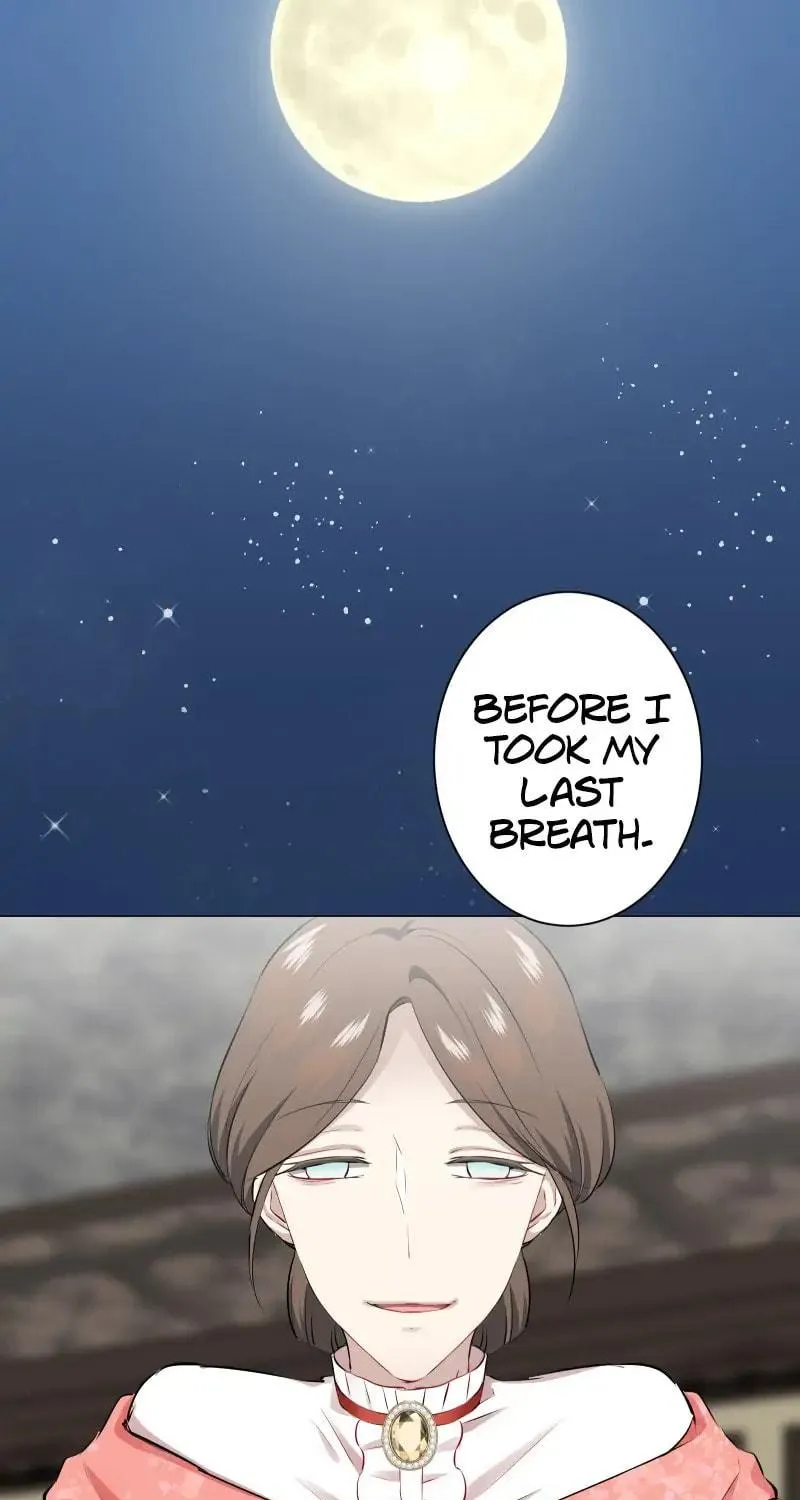 Nullitas ~The Counterfeit Bride~ Chapter 94 page 53 - 