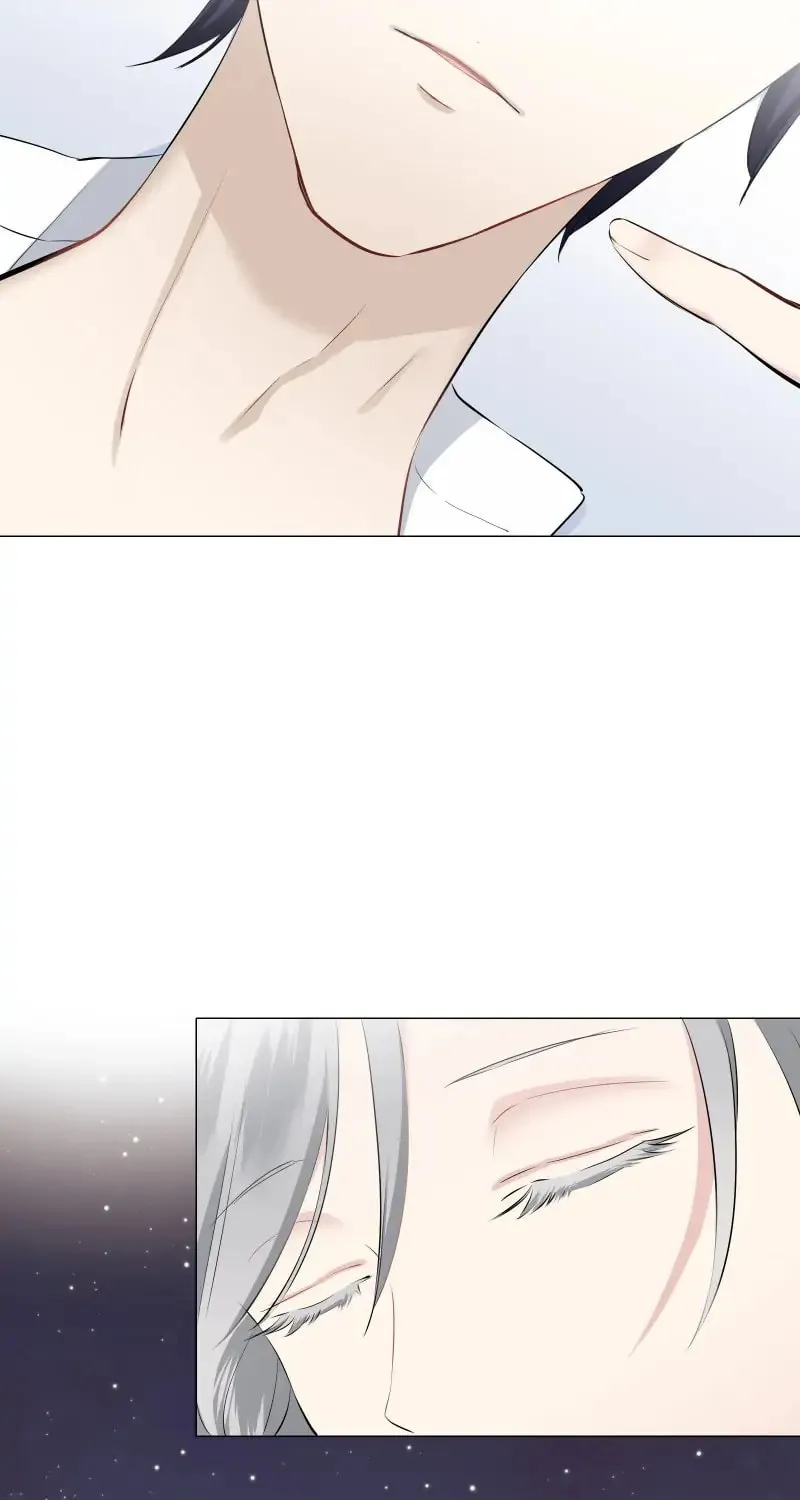 Nullitas ~The Counterfeit Bride~ Chapter 95 page 14 - 