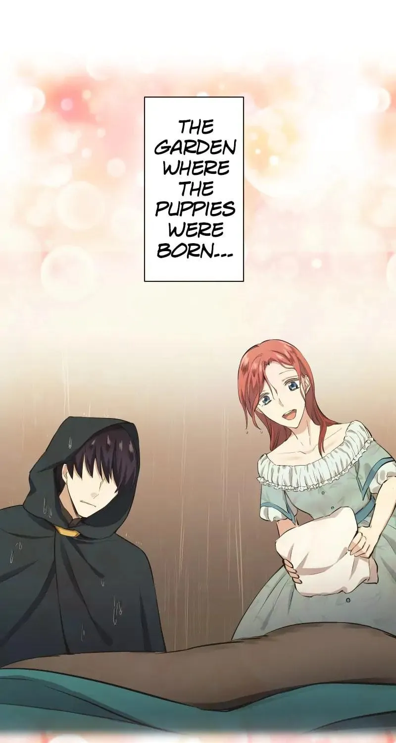 Nullitas ~The Counterfeit Bride~ Chapter 95 page 21 - 