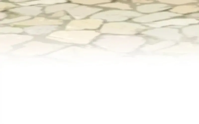 Nullitas ~The Counterfeit Bride~ Chapter 96 page 31 - 