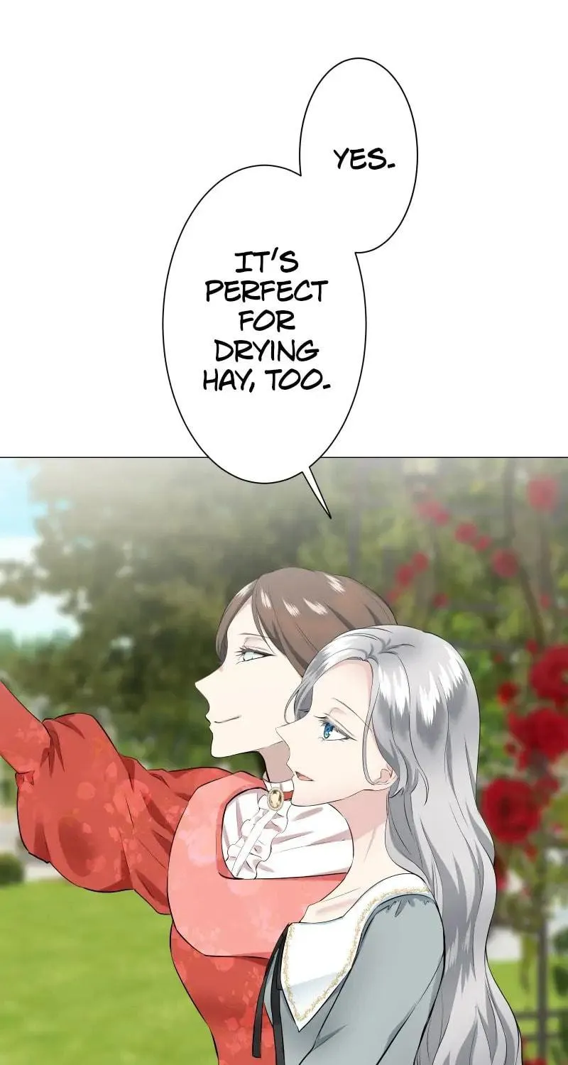 Nullitas ~The Counterfeit Bride~ Chapter 96 page 35 - 