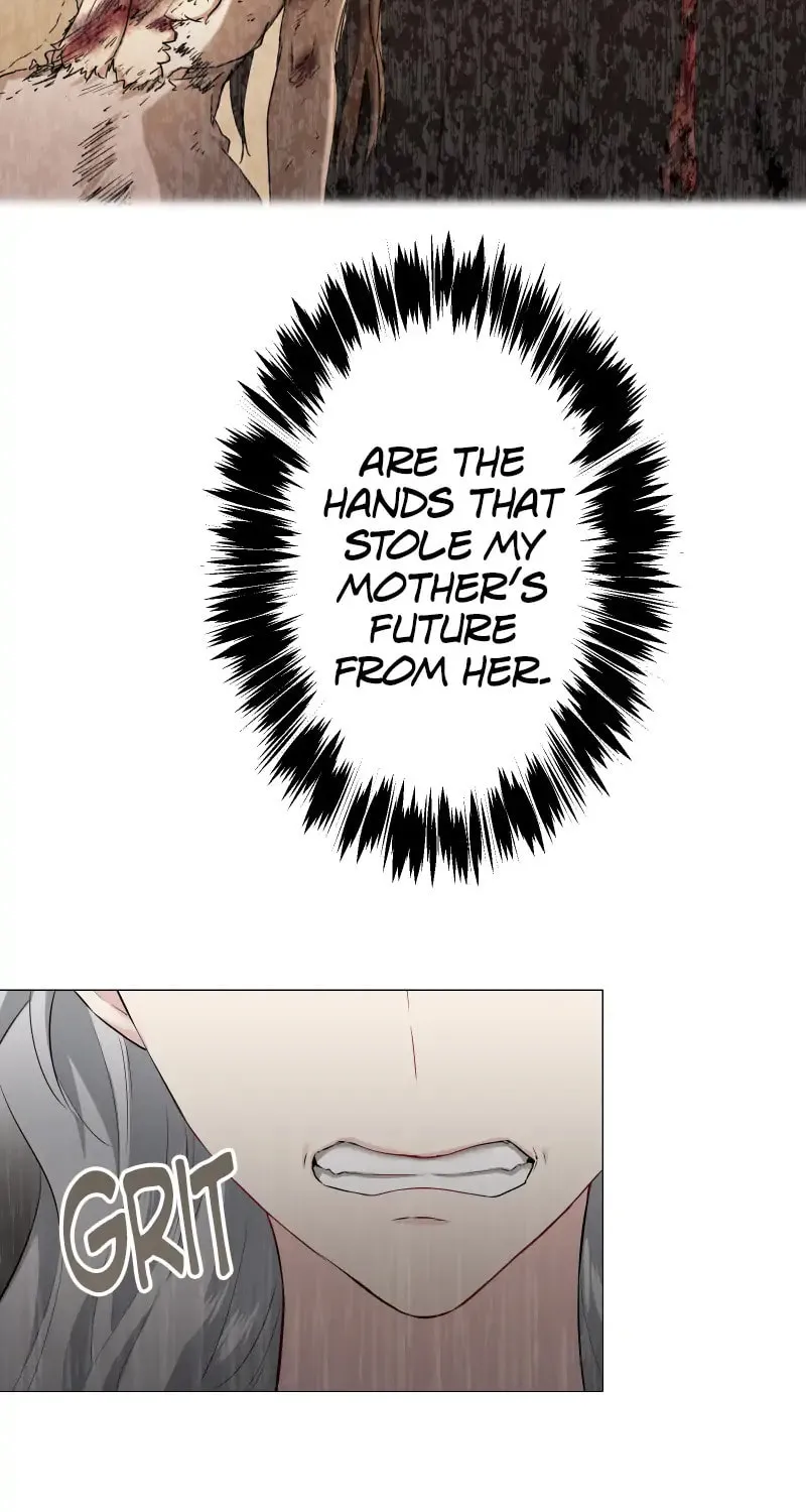 Nullitas ~The Counterfeit Bride~ Chapter 99 page 3 - 
