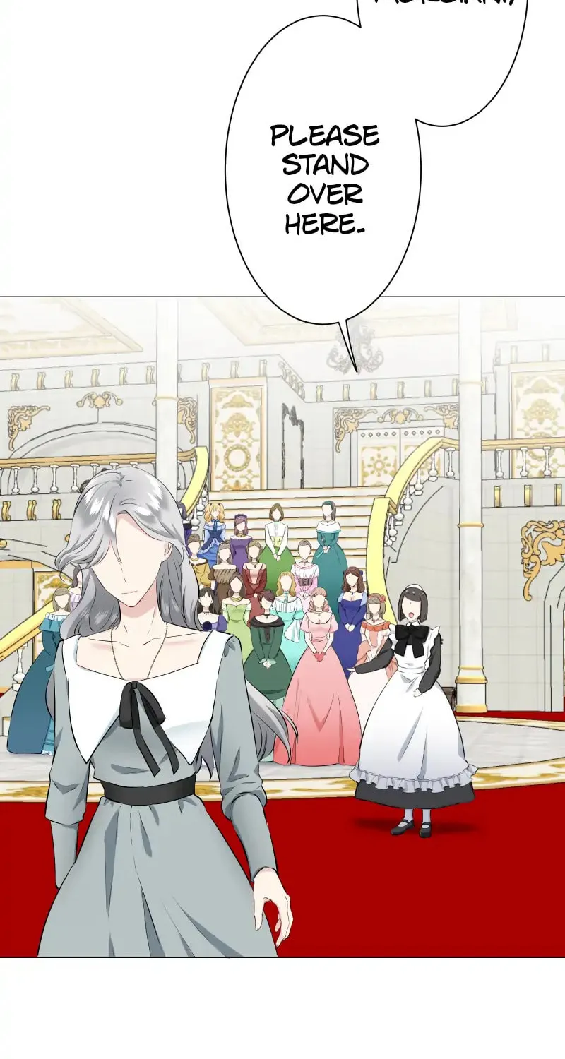 Nullitas ~The Counterfeit Bride~ Chapter 99 page 41 - 